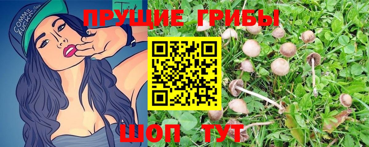 Псилоцибиновые грибы GOLDEN TEACHER  Вход с VPN  Кирово-Чепецк 